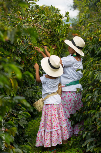 mom and daughter picking up coffee beans in a coffee plantation