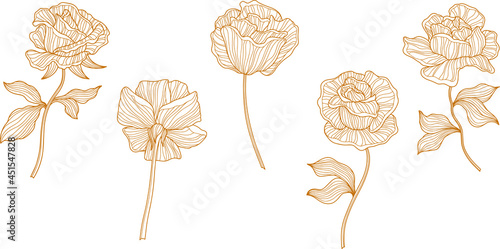 Rose flowers and leaves isolated on white. Hand drawn line vector illustration. Eps 10 