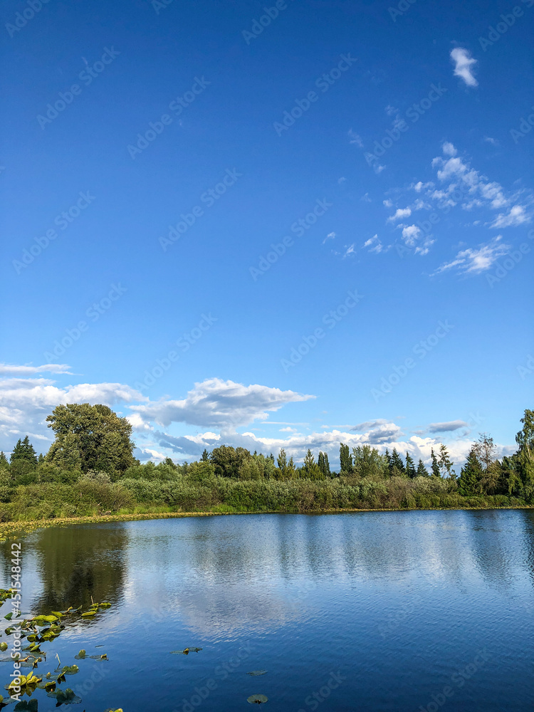 Obraz premium Larsen Lake Blueberry Farm