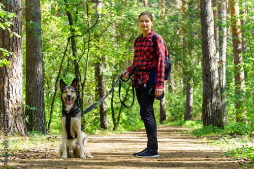 A girl walks with a dog warm day, a pleasant walk through the forest.