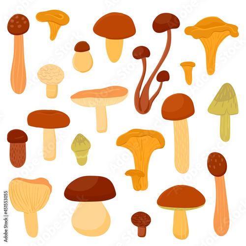 A set of different edible mushrooms. Cartoon vector illustration of food from the forest on an isolated white background.