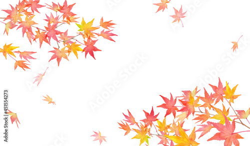 赤く色づいた秋の紅葉の枝と落葉。水彩イラスト。２隅装飾フレームデザイン。日本の伝統模様（ベクターデータ）