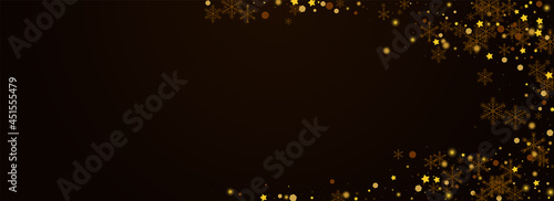 Sparkling Confetti Vector Pnoramic Brown