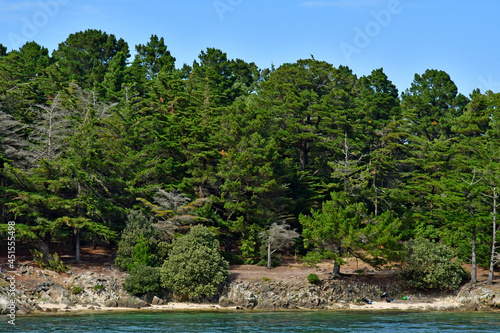 France - june 6 2021 : Morbihan gulf