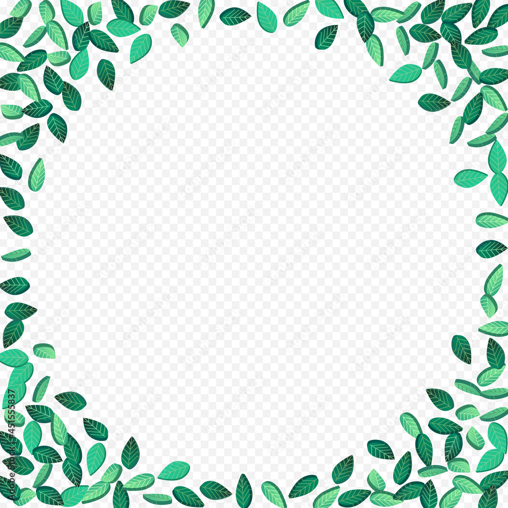 Grassy Leaf Spring Vector Transparent Background Grassy Leaf Spring Vector Transparent Background
