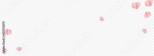 Pink Confetti Vector Transparent Panoramic