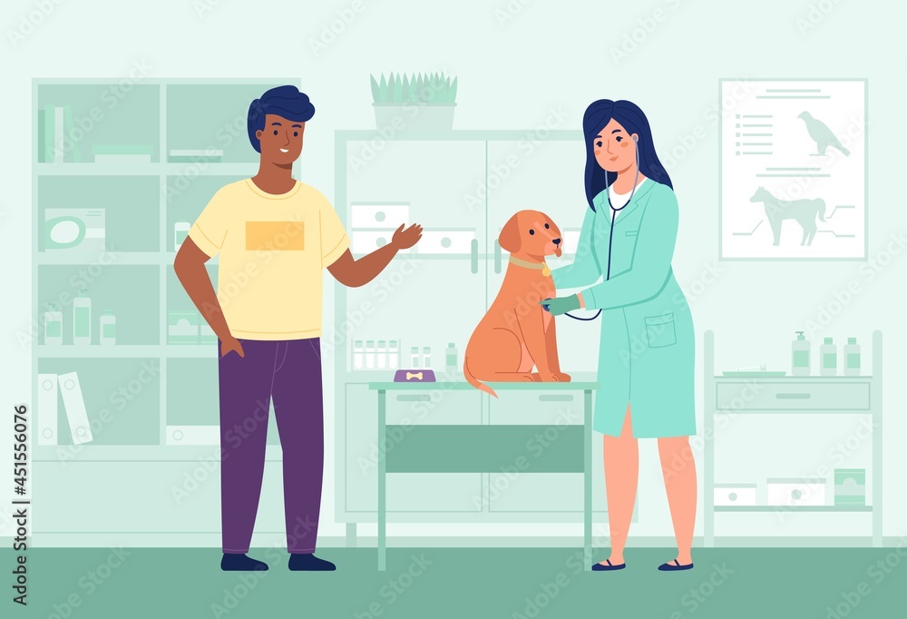 Vet doctor appointment. Nurse examines dog in veterinary office, woman