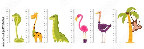 Growth ruler. Kids scale measuring with funny tall or long wild animals and birds. Cute giraffe and dinosaur. Pink flamingo or monkey on palm. Vector height measurement equipment set