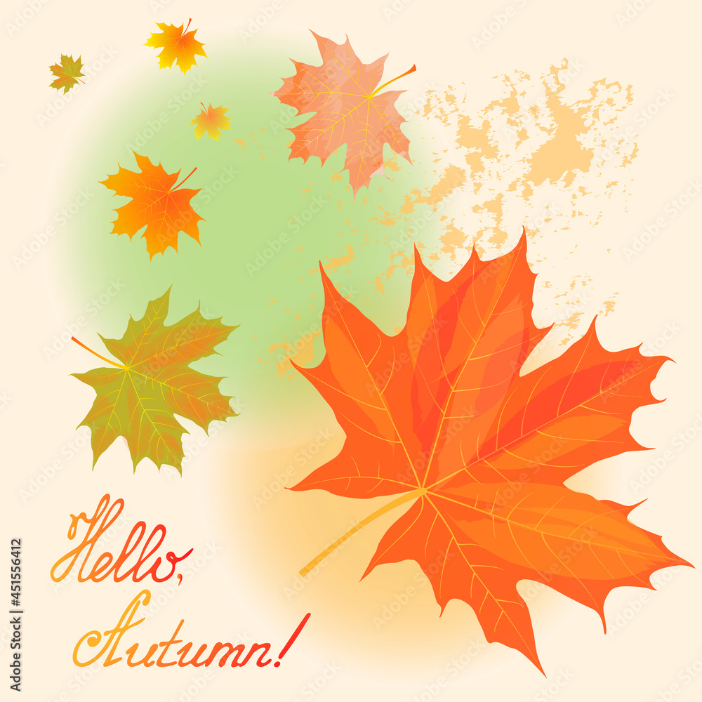 Fototapeta premium Vector illustration for banner or postcard. Hello, Autumn. Autumn leaves on a light background.