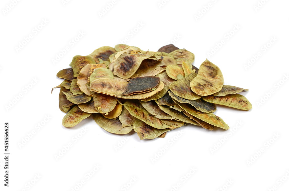 Senna pods or Cassia acutifolia isolated on white background.