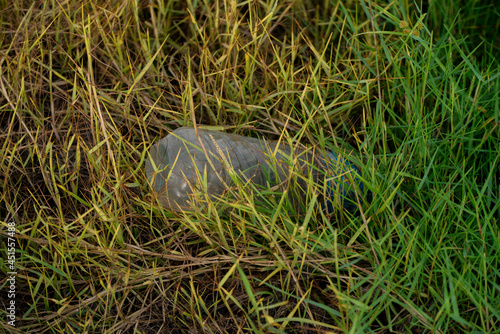 green fields  garbage in the field
  scarecrow   rice plant
  plastic bottles   garbage
  

 