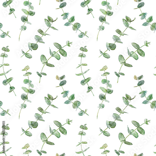 Watercolor seamless pattern with branches of eucalyptus isolated on white background.