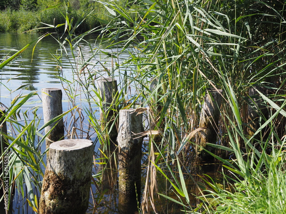 Natural river landscape at the Peene, Mecklenburg Vorpommern, Germany.