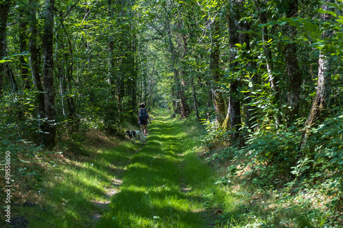 girl and her dog on a path into the forest of Sologne, France