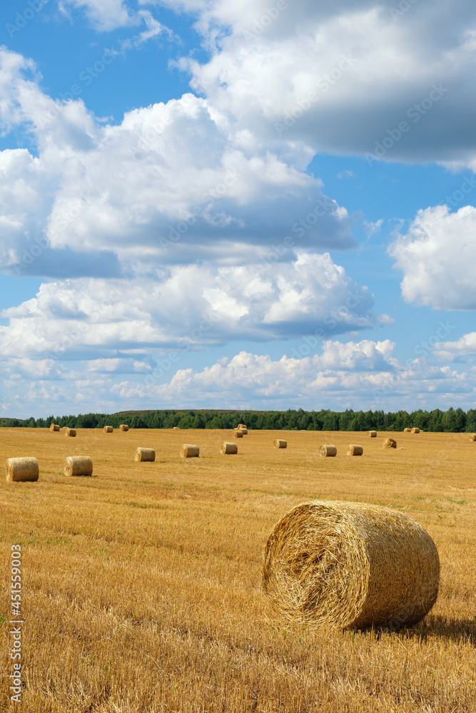 View of agricultural field with golden hay bales of wheat after harvesting. Rural landscape of central Russia with blue cloudy sky.