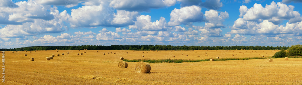 View of the field with haystacks of golden wheat in autumn sunny day with cloudy sky. Rural landscape. Panorama.