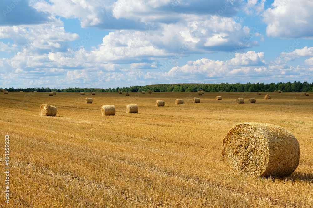 View of agricultural field with golden hay bales of wheat after harvesting. Rural landscape of central Russia with blue cloudy sky. Horizontal orientation.