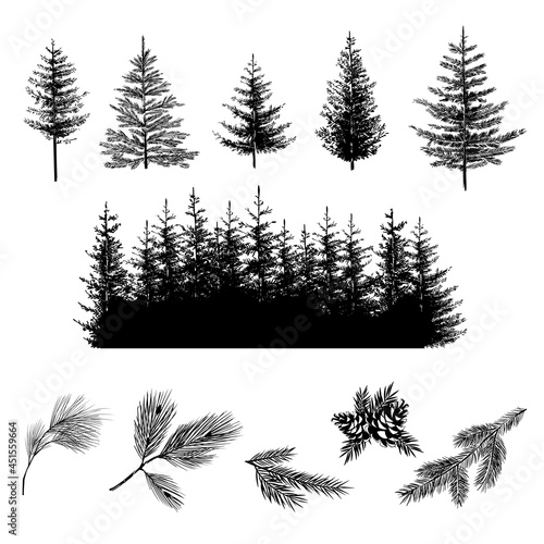 Set of forest trees. Realistic silhouettes of сonifer trees and branches with cones. Vector illustration