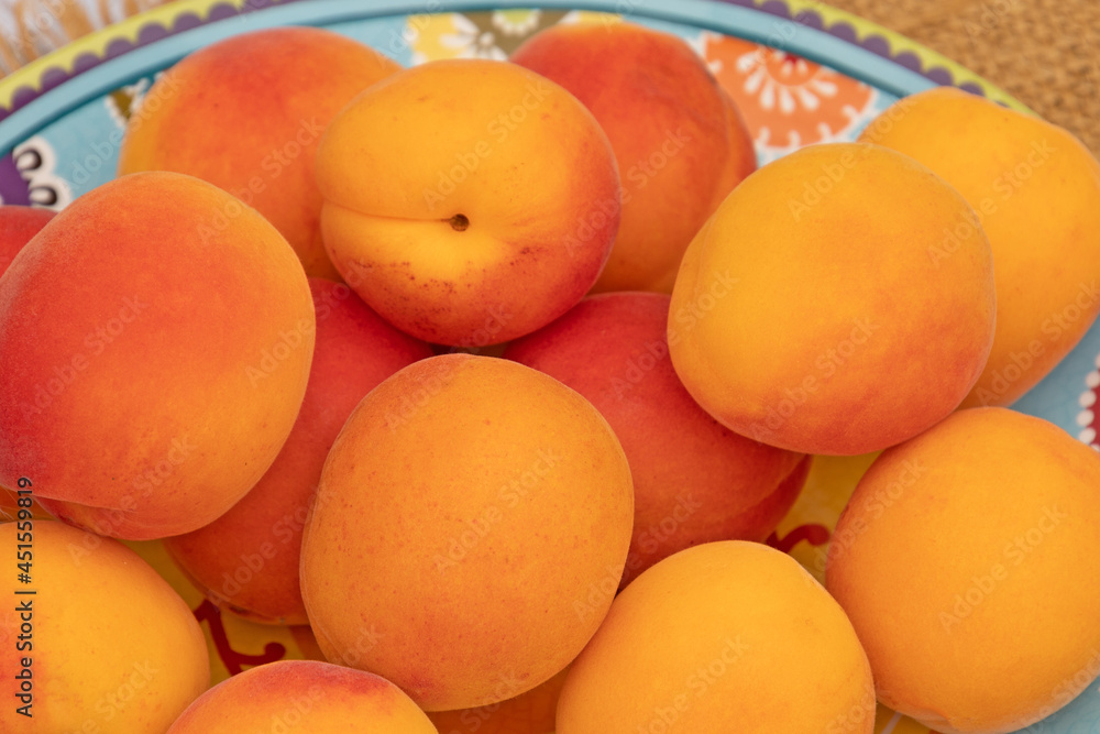 plusieurs abricots dans un plat plusieurs abricots dans un plat
