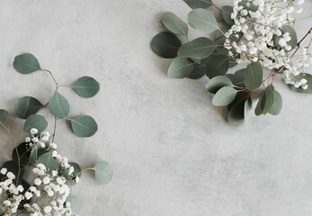 eucalyptus leaves and white flowers  frame top view on a gray concrete background. copy space. plant template