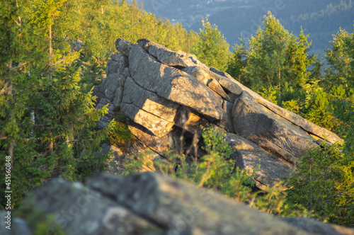 Rock among the forest on the background of the Carpathian mountains in summer