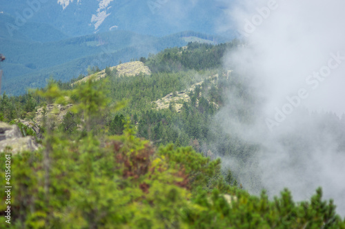 Fog over the forest of the Carpathian mountains in summer