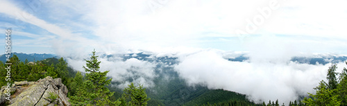 Fog over the forest of the Carpathian mountains in summer © onyx124