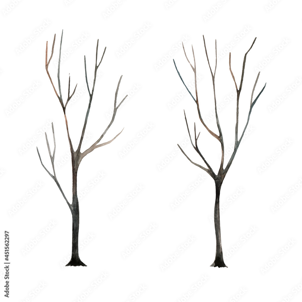Fototapeta premium Watercolor hand drawing two trees without leaves. Fallen leaves. Halloween decor. Isolated over white background.