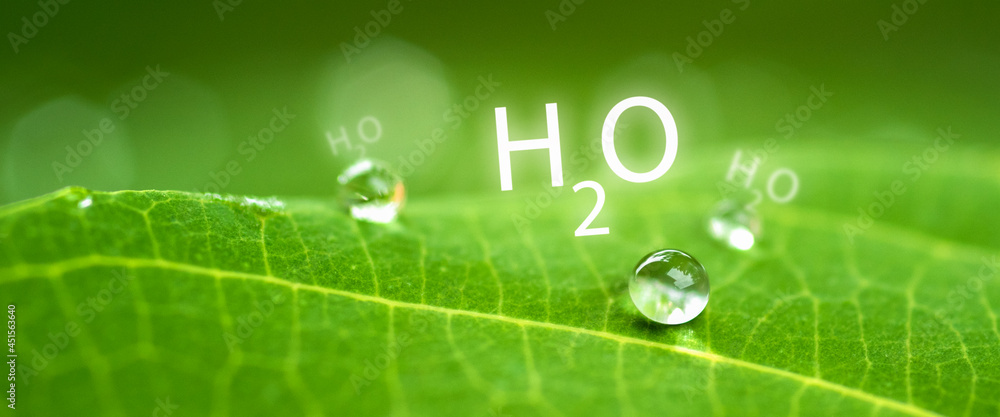 Water droplets on a green leaf and H2O symbol. Concept of nature and environment. Water droplets on a green leaf and H2O symbol. Concept of nature and environment.