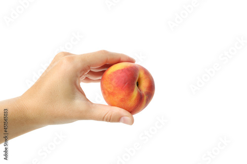 Female hand holds peach fruit, isolated on white background