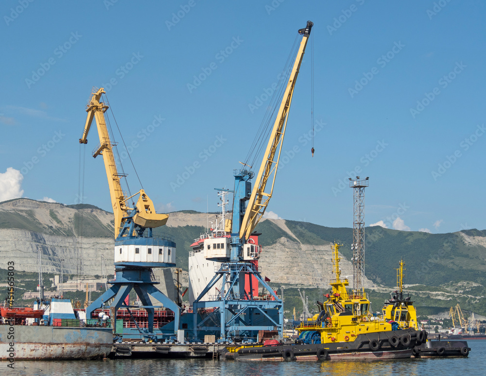 Industrial sea port with loading cranes and tug boats