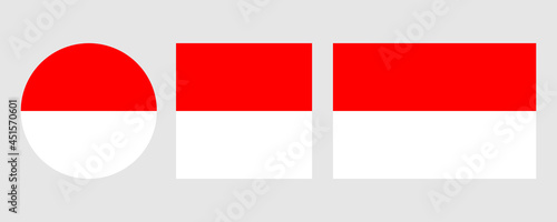 Flag of Indonesia. Vedctor illustration isolated on white background