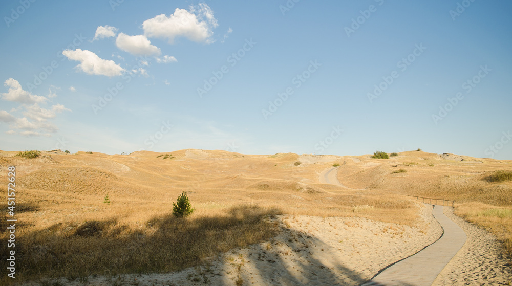 Grey dunes in sunny summer day with sand, grass and trail, Lithuania. 