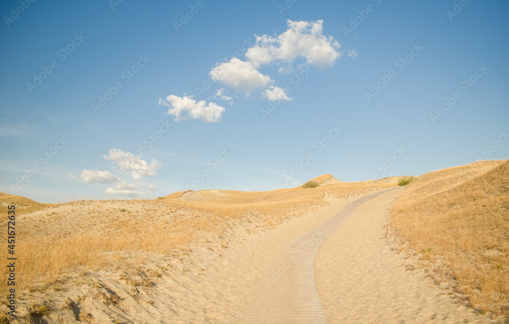 Grey dunes in sunny summer day with sand, grass and trail, Lithuania. 