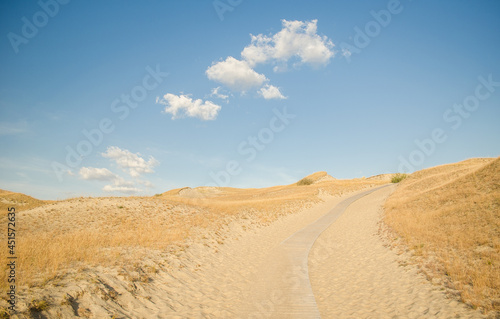 Grey dunes in sunny summer day with sand  grass and trail  Lithuania. 