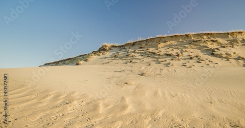 Grey dunes in sunny summer day with sand and grass  Lithuania. 