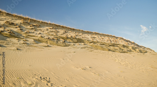 Grey dunes in sunny summer day with sand and grass  Lithuania. 