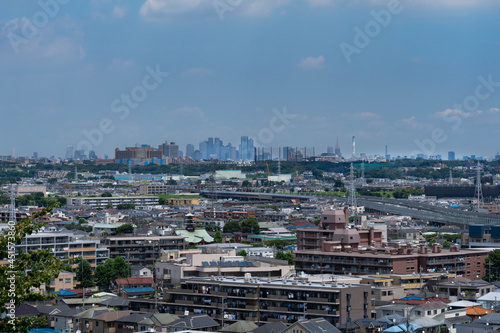 view of Tokyo from hill