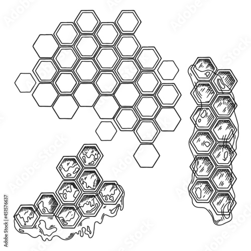 Sketch of honeycomb with honey isolated on a white background. Vector