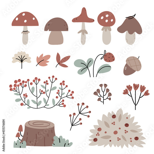 Set of autumn forest plants.Wild mushrooms, berries and bushes. Autumn atmosphere.Illustration for children's book.Simple Hand drawn illustration.