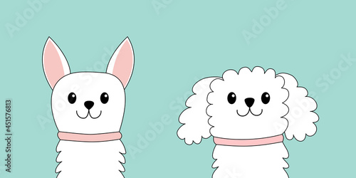 Maltese poodle chihuahua toy terrier dog puppy face head set. White lapdog. Animal icon. Cute kawaii cartoon funny character. Pet animal collection. Adopt concept. Flat design. Blue background.