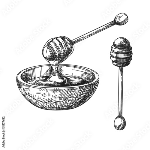 Sketch of a bowl with honey and a wooden honey spoon. Vector