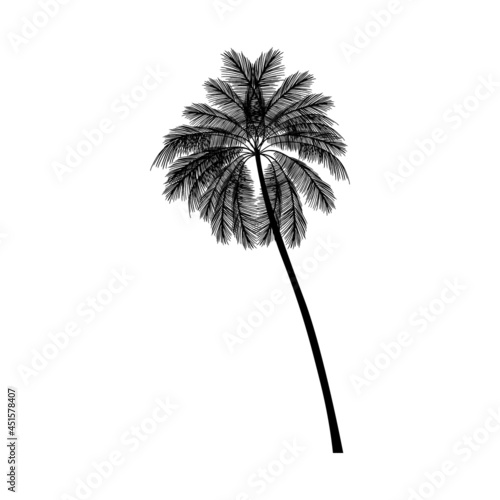 black palm tree vector illustration