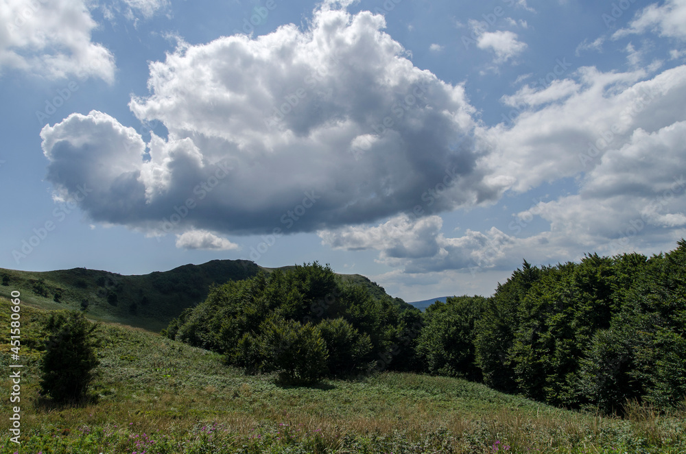 Bieszczady połonina Wetlińska Bieszczady połonina Wetlińska