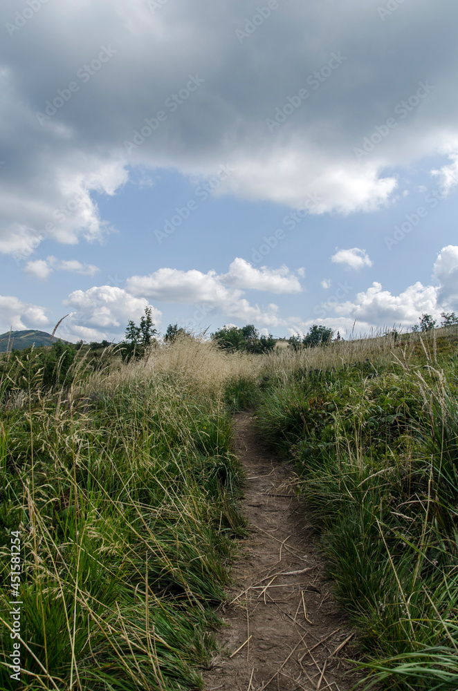 Bieszczady połonina Wetlińska szlak turystyczny Bieszczady połonina Wetlińska szlak turystyczny
