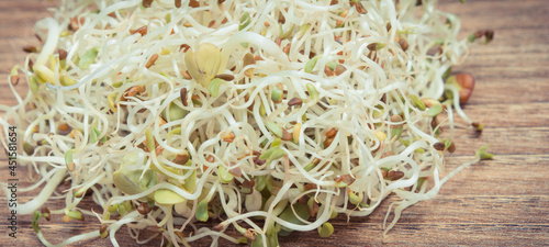 Alfalfa and radish sprouts as healthy addition to sandwiches. Source vitamins and minerals