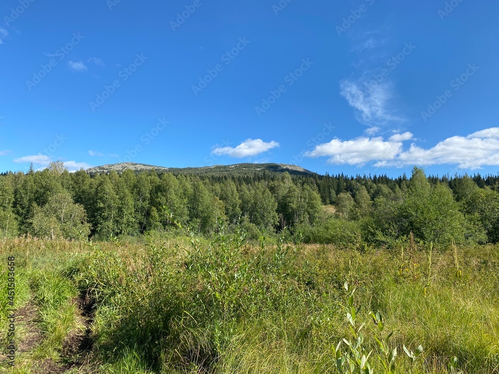 View of the Itsyl mountains from the Kialim cordon (Taganay national Park. Zlatoust city. Chelyabinsk region. South Ural. Russia)