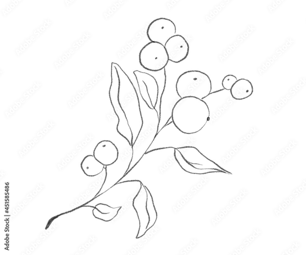 Pencil drawing floral illustration. Isolated on white background.