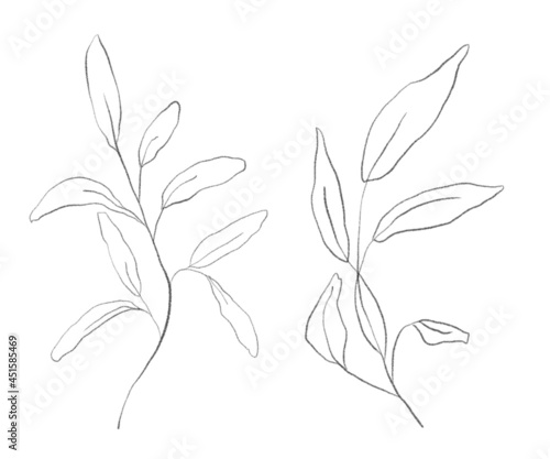 Pencil drawing floral illustration. Isolated on white background.