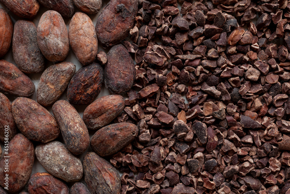 Cocoa bean background. Whole coco seeds and crushed nibs close-up texture. Cocoa bean background. Whole coco seeds and crushed nibs close-up texture.